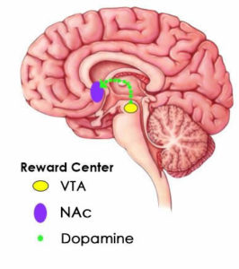 SCIENCE OF ADDICTION - TruthPharm.org